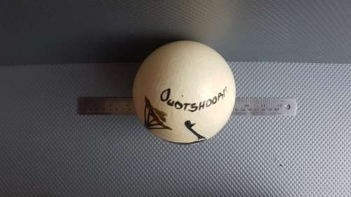 Vintage! Painted Ostrich Egg With Stand - Oudtshoorn South Africa.