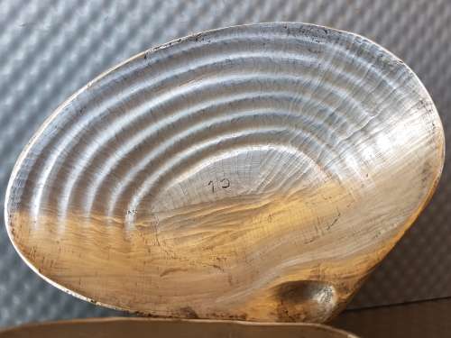 Vintage! Clam Shell Silver Plated Trinket Box With Lid.