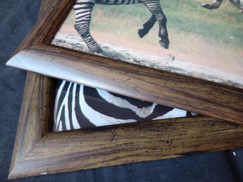 African Safari - Framed Zebra Portrait Prints x 2 (62cm x 36cm)
