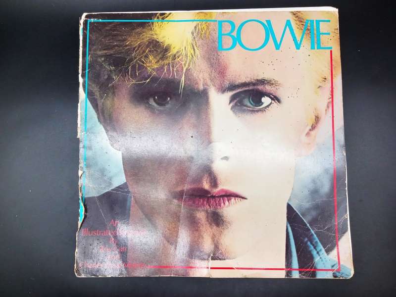 David Bowie: An Illustrated Record with color photos (Size - 30cm)