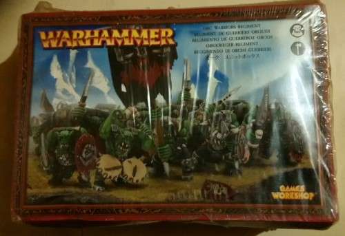 Warhammer Orc Warriors Regiment