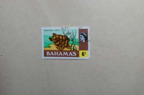 5 Cents Hawksbill Turtle Stamp Bahamas