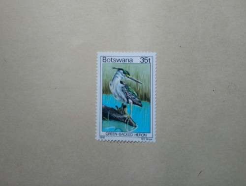 35 t Botswana Mint Stamp Green Backed Heron