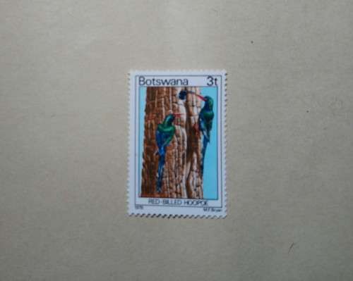 3 t Botswana Mint Stamp Red Billed Hoopoe