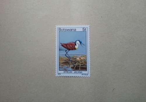 5 t Botswana Mint Stamp African Jacana