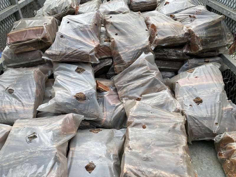 Quality, dry Sekelbos braai wood for sale