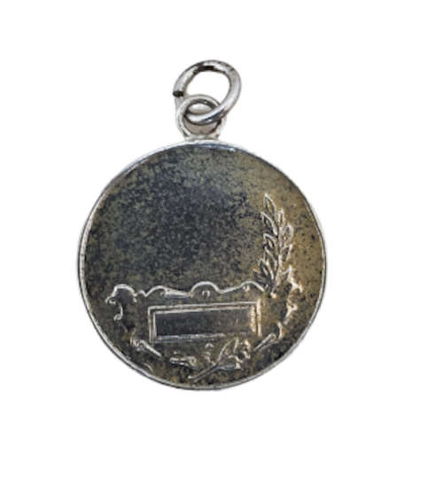 Maccabi Provincial Award Medal