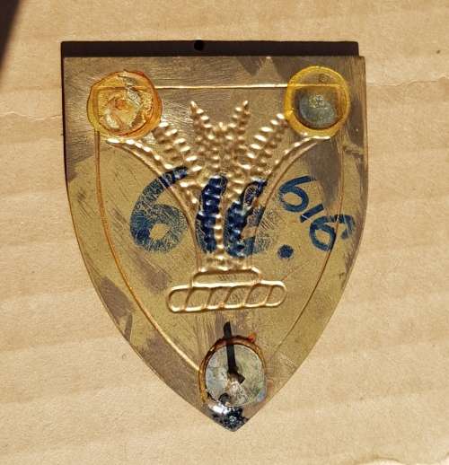 S.W.A. Sector 10 HQ Lucite Covered Shield