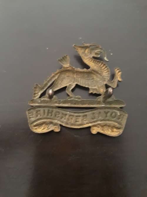 Royal Berkshire Regiment Brass Badge (two pins)