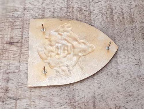SANDF-LUCITE FLASH-3 Pins