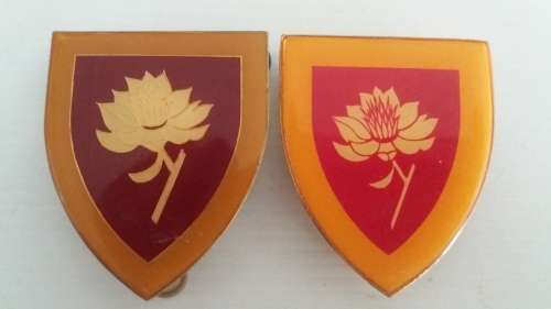 F153/6-Border War-S.A.Army Woman College-Yellow Type & Gold Type-both with 3 Pins