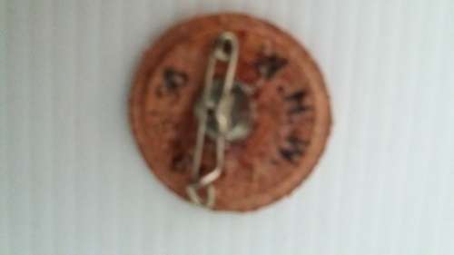Third Reich-WHW-Winterhilfswerk Badge-Wolfsangle Rune Card Badge February 1936