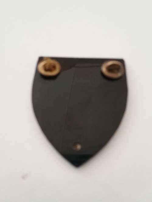 South African Army-Dinnes-4374-1 Reconnaissance Regiment-Two Pins