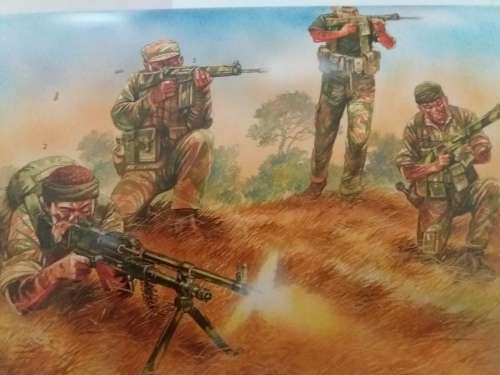 Rhodesian Light Infantryman 1961-80,Two New Condition Books