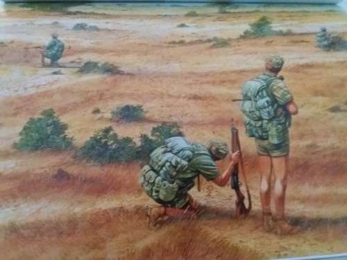 Rhodesian Light Infantryman 1961-80,Two New Condition Books