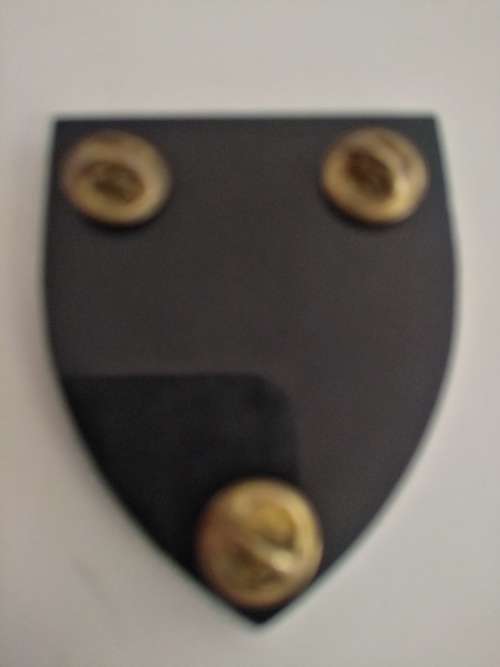 Shoulder Flash 1 Recce Regiment complete with pins and backing plate