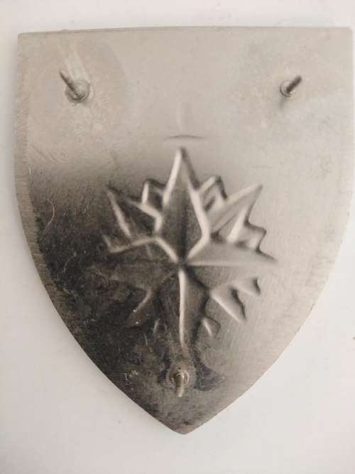 Shoulder Flash 1 Recce Regiment complete with pins and backing plate