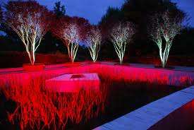 5050 RGB LED STRIP LIGHT - 5 METERS NON WATERPROOF