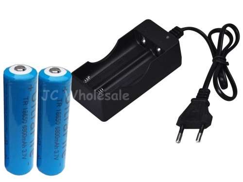 AC 110V 220V Dual Charger for 18650 3.7V Rechargeable  + 2 x 18650 Rechargeable Batteries