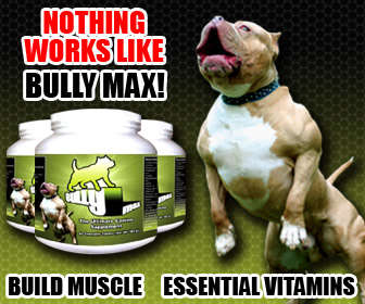 BullyMax