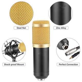 professional studio broadcasting and recording condenser microphone
