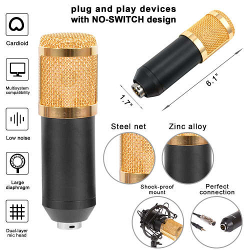 professional studio broadcasting and recording condenser microphone