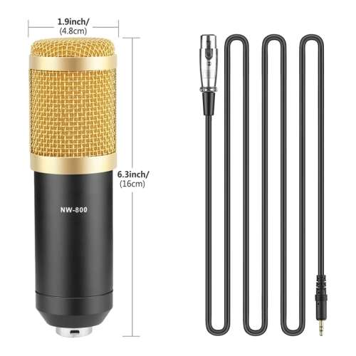 professional studio broadcasting and recording condenser microphone