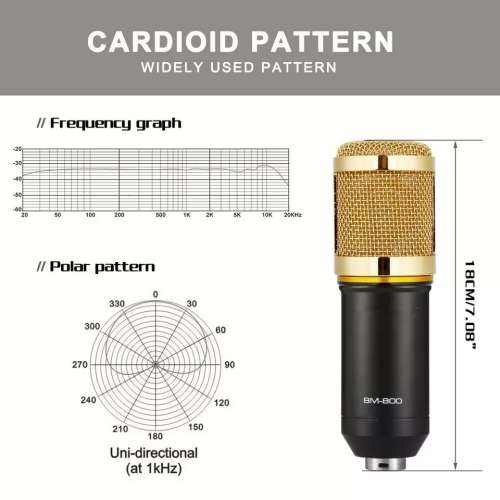 professional studio broadcasting and recording condenser microphone