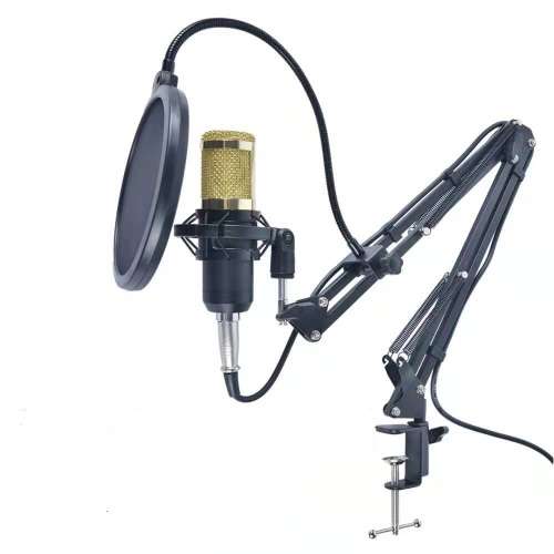 professional studio broadcasting and recording condenser microphone