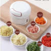 Mnaual Garlic Chopper  Mini Garlic Slicer and Cutter | Onion Grinder and  Garlic Crusher and Cutter