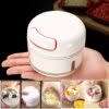 Mnaual Garlic Chopper  Mini Garlic Slicer and Cutter | Onion Grinder and  Garlic Crusher and Cutter