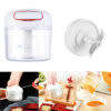 Mnaual Garlic Chopper  Mini Garlic Slicer and Cutter | Onion Grinder and  Garlic Crusher and Cutter
