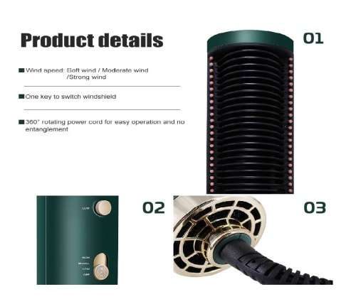 2 in 1 Professional Hot Air Brush