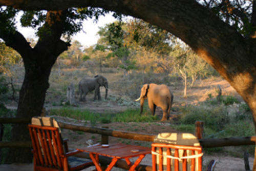 KRUGER PARK EKUTHELENI HOEDSPRUIT 24-31 DECEMBER 2010