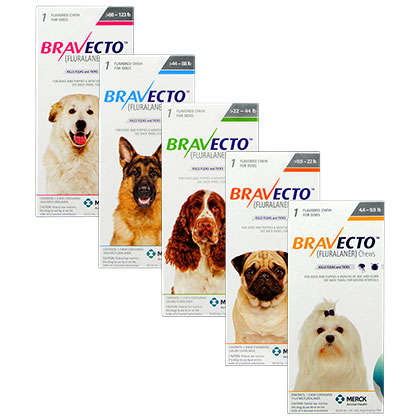 Bravecto - Small Dog (4.5-10kg)