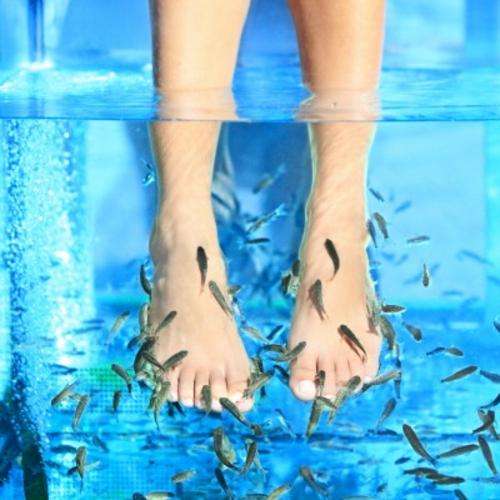 FISH PEDICURE