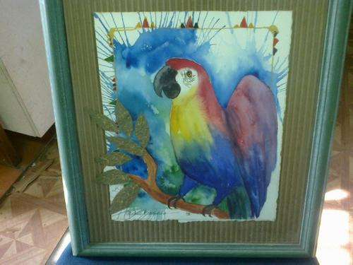 reduced!!!A BEAUTIFULLY BRIGHT W/C PARROT BY MICHELE BATCHELDE IN FRAME. 3D