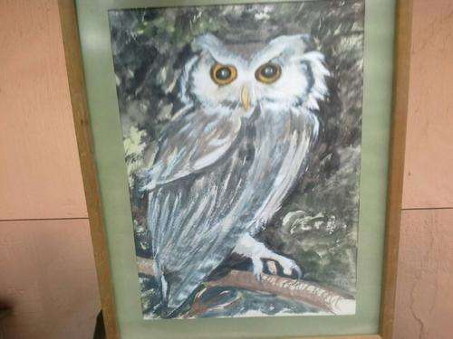 JUDITH ANN MALAN: OWL STUDY #1 WATERCOLOUR ORIGINAL