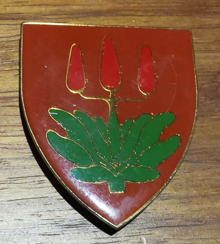 East London Commando shoulder flash