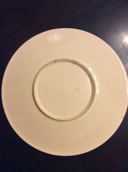 ORANJE VRYSTAAT WALL PLATE  - AMAZING FIND -