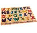 Wooden Alphabet Push-in Puzzle