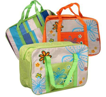 Insulated Beach/Picnic Bag