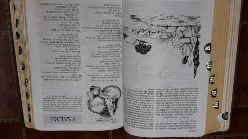 Vintage afrikaans Bible .