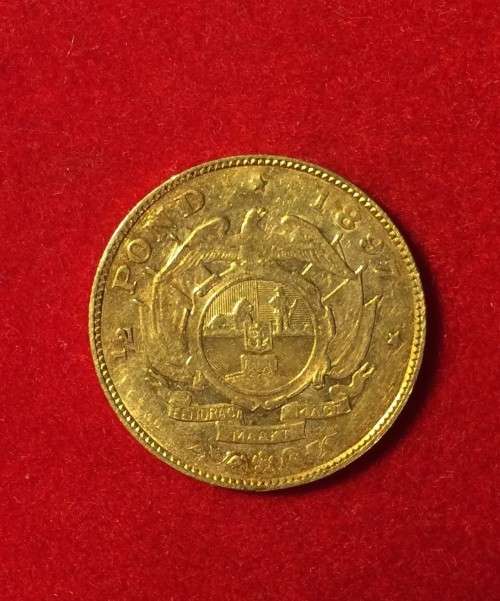1897 halfpond