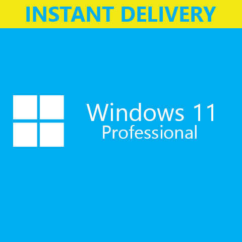 Windows 11 Pro