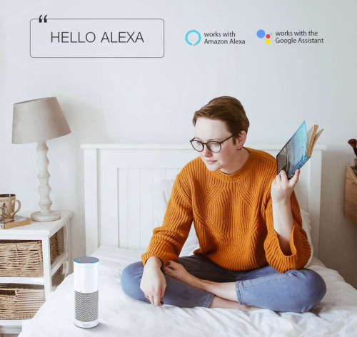 Smart WiFi Geyser timer-with energy metering -Smart Life/Tuya app