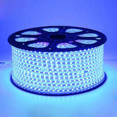 220V 100m/ roll 5050 Chip SMD LED Strip Light - blue