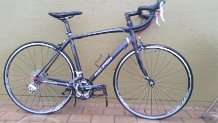 Raleigh Revinio 2.0 BRAND NEW!!!