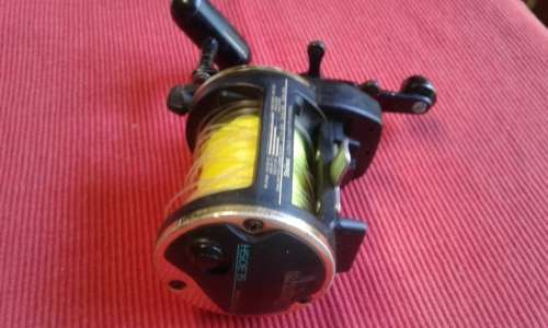 DAIWA SEALINE SL30SH