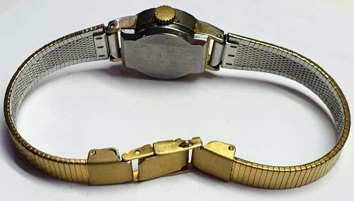 Acitizeno watch